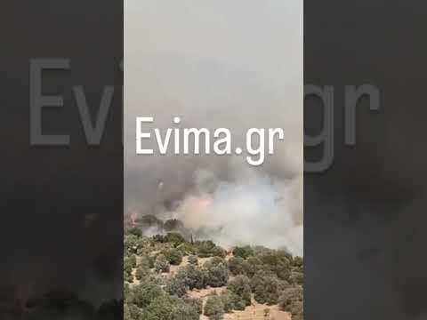 Κάρυστος: Η φωτιά μπήκε στο χωριό Πλατανιστός