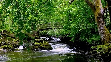 أجمل ما قرأ عبد الباسط عبد الصمد(سورة المائدة)