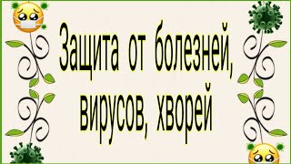 Защита от вирусов, болезней, хвори. Тайна Жрицы.