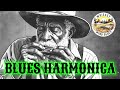 Midnight Acoustic Desert Blues Harmonica Blues Soul Journey