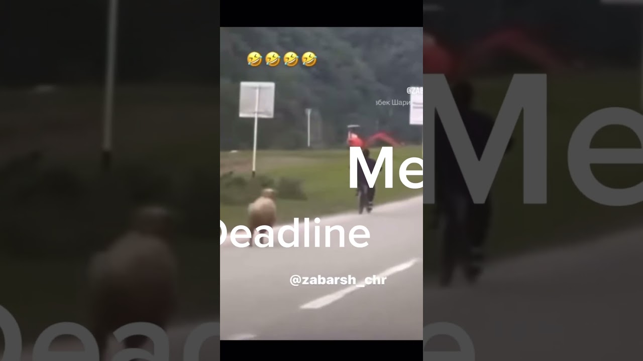 Coursework struggle 😂👐 … 