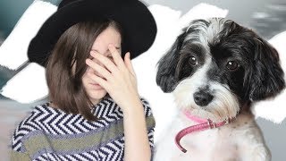 ПОТЕРЯЛА СОБАКУ / Моя Ужасная История ПОТЕРЯЛА СОБАКУ / Моя Ужасная История