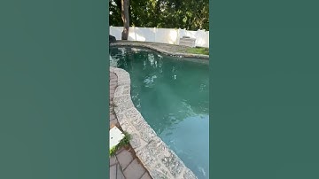 Pool needs algae treatment and new filter
