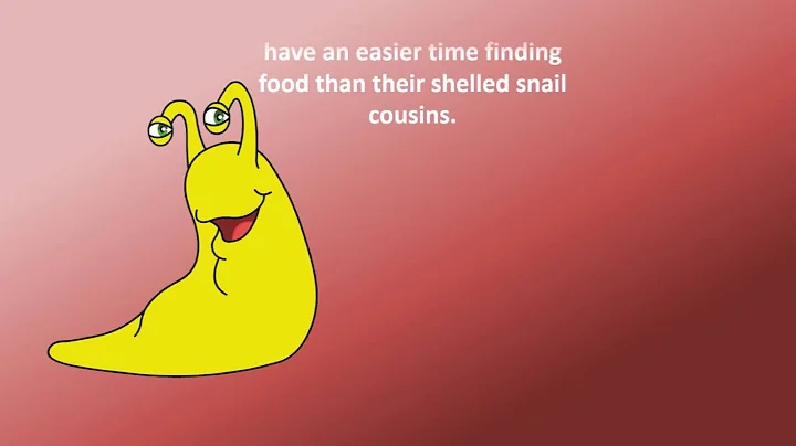 Why don't slugs have a shell ?