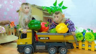 Baby Monkey Bibon Goes To Pick Fruit, Dinosaur At Home Steals Bibon Monkey's Egg Resimi