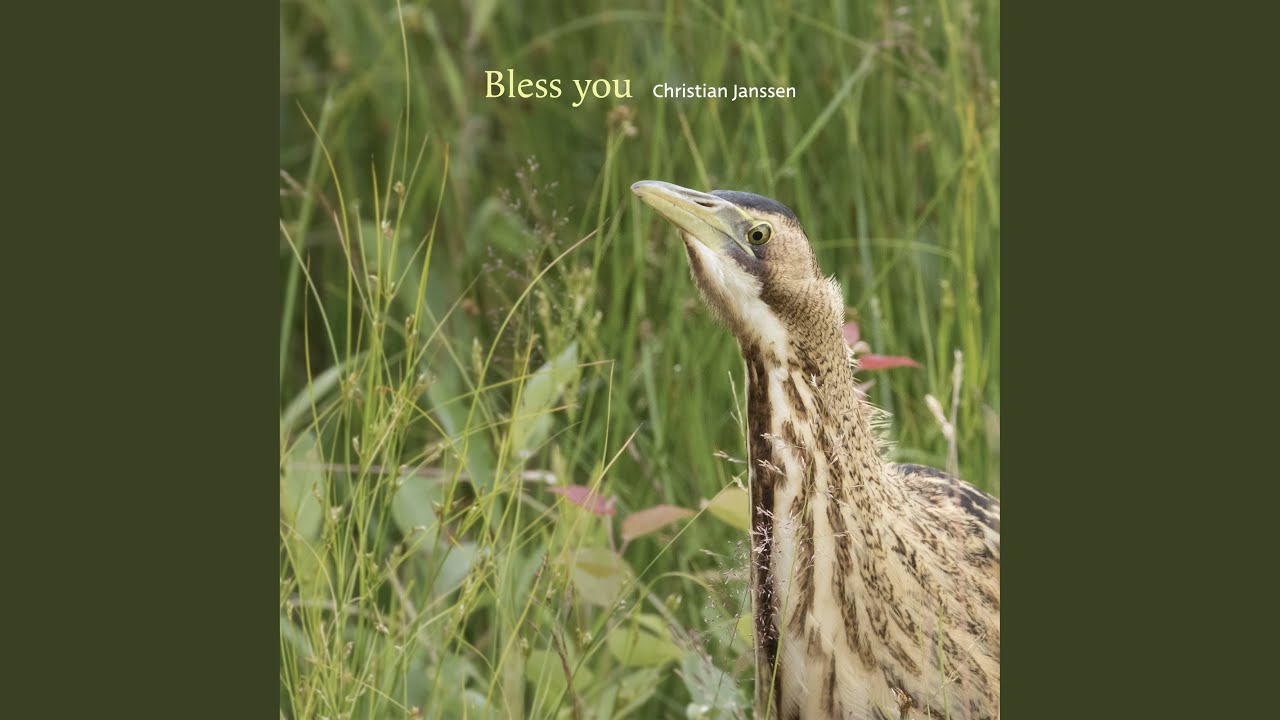 Watch Bless you on YouTube Watch Bless you on YouTube