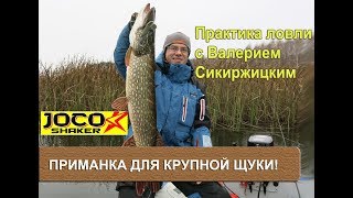 Отличная приманка для крупной щуки! Практика ловли с Валерием Сикиржицким.