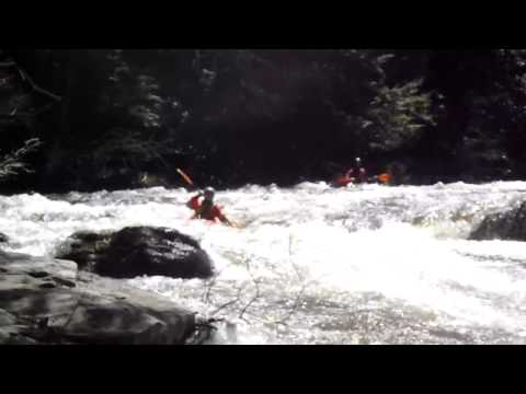 Black Moshannon 1
