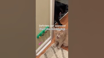 Cat Loved & Approved! #catnip #cat #toys #perfectgift