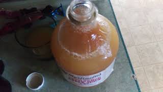 Quick & Easy Cider (or cheap wine)