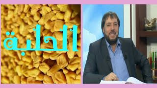 فوائد الحلبة مع الدكتور ابو علي الشيباني