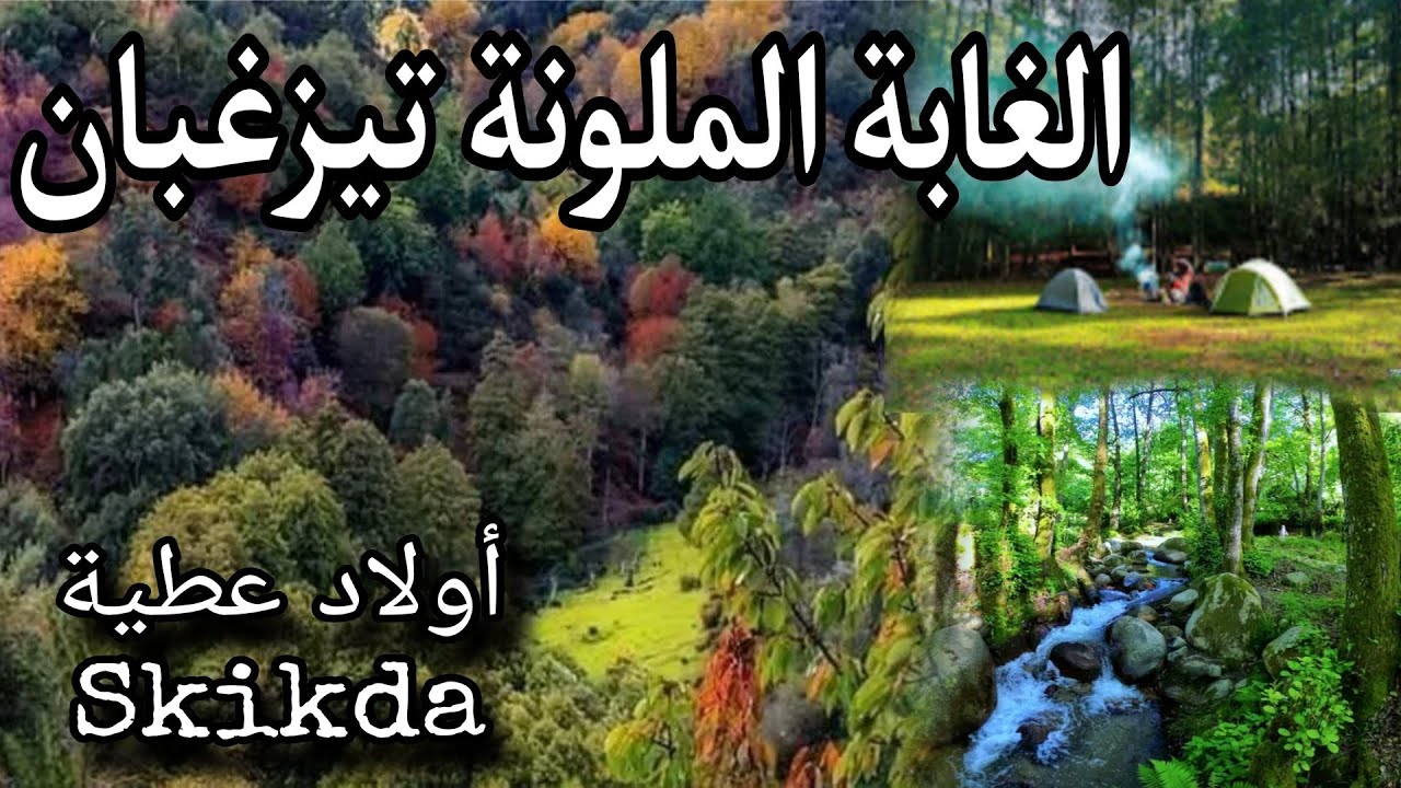 الغابة الملونة تيزغبان بأولاد عطية سكيكدة قطعة من الآمازونTizaghbane-Ouled Attia / Skikda /Algeria m