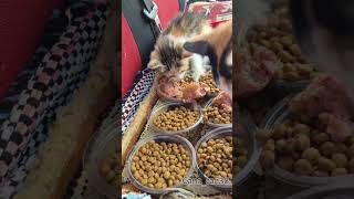 Şükufe Ve Bebeği लल Şfet