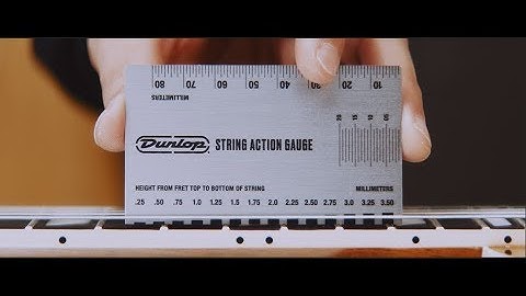 System 65™ Action Gauge