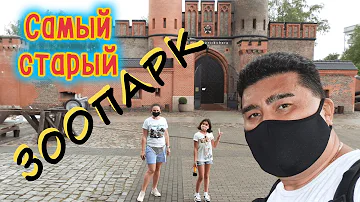 Самый СТАРЫЙ и БОЛЬШОЙ зоопарк РОССИИ !!! Немецкий БУНКЕР !!! #калининград #россия