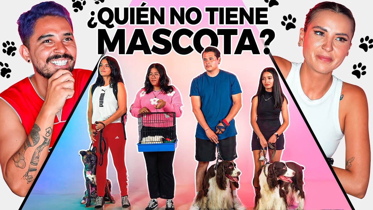 ADIVINA QUIÉN NO TIENE MASCOTA O PIERDE DINERO