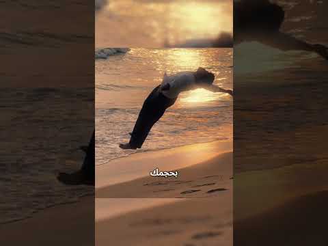 ماذا لو كنت بحجم نملة