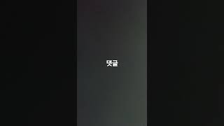 ㅇㄷ공유 댓글