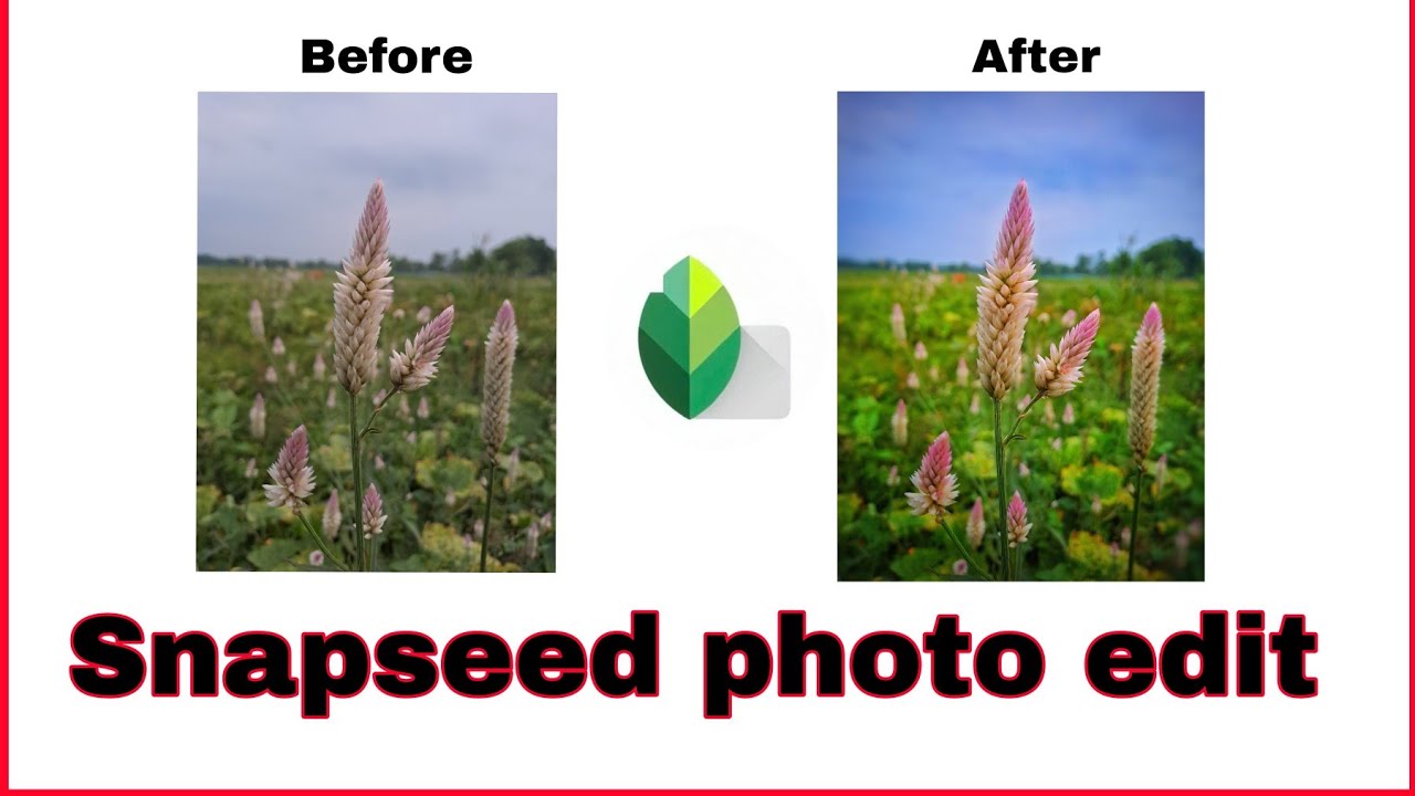 snapseed tutorial ||Photo editing|| new editing || natural photo ...