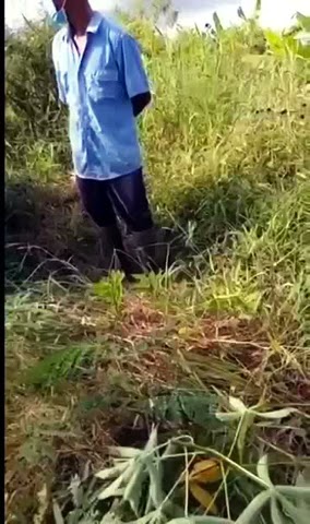 sis**eee di garap di kebon😲 rame lanjut⏭️#viralvideos #siskaeee