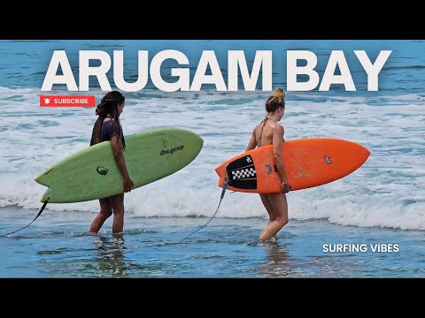 The Waves of Paradise | ARUGAM BAY SURFING 4K