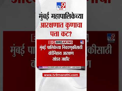 BMC Eelection 2025 Candidate म बई मह प ल क च य आरक षण त क ण च पत त कट