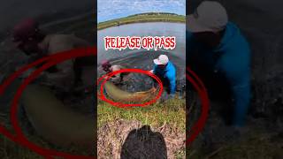 This Pond Monster Took The Bait Instantly! 😳 #shorts #viral #fishing