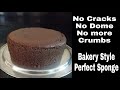 Bakery style cake sponge recipe  perfect 1 kg chocolate sponge recipe  sponge recipe using premix