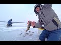 Зимняя рыбалка 17.01. 2021 Ловлю со льда окуня, на снасть балда.  Рыбалка как она есть!