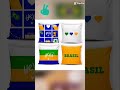 kit 4 capas para almofadas Brasil