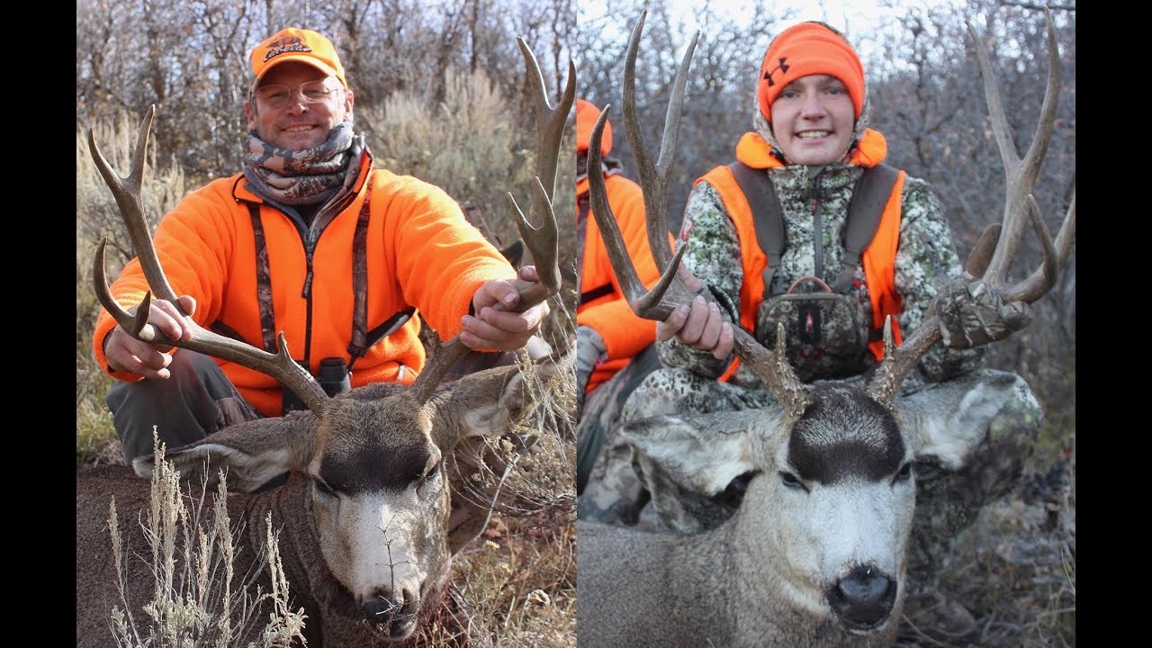 2017 Utah Mule Deer Hunt YouTube