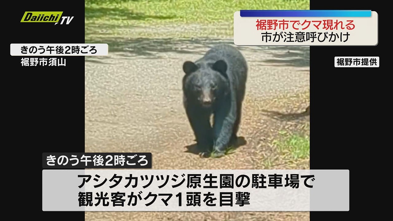 Bear caught on camera walking calmly] Sightings reported at
