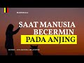 Saat manusia harus bercermin pada anjing