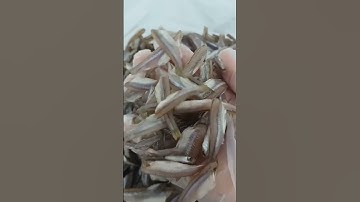 Khô Cá Lòng Tong 3 Nắng - Túi 500g - Đặc Sản Bến Tre