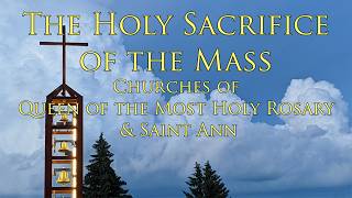 Mass for July 15th, 2026