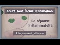 41 la rponse inflammatoire i