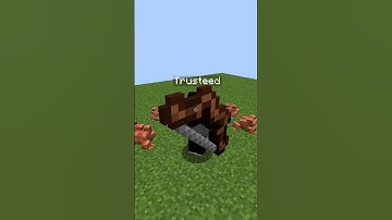 Can he do it? ft. @iplaysb #mobarena #minecraft #skyblock #hypixelskyblock