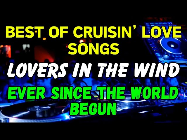 LOVERS IN THE WIND x EVER SINCE THE WORLD BEGUN - LOVE SONGS REMIX - ROAD TRIP HITS - DISCO TRAXX class=
