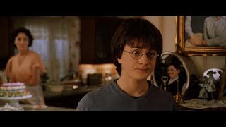 Harry Potter en de Steen der Geslachtswijzigingen