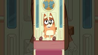 bingo sings counts pinecones ten zero bluey minisodes green