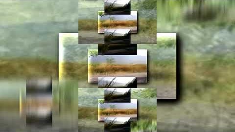 (REUPLOAD) VideoDJ (2)scan.mp4scan.wmv