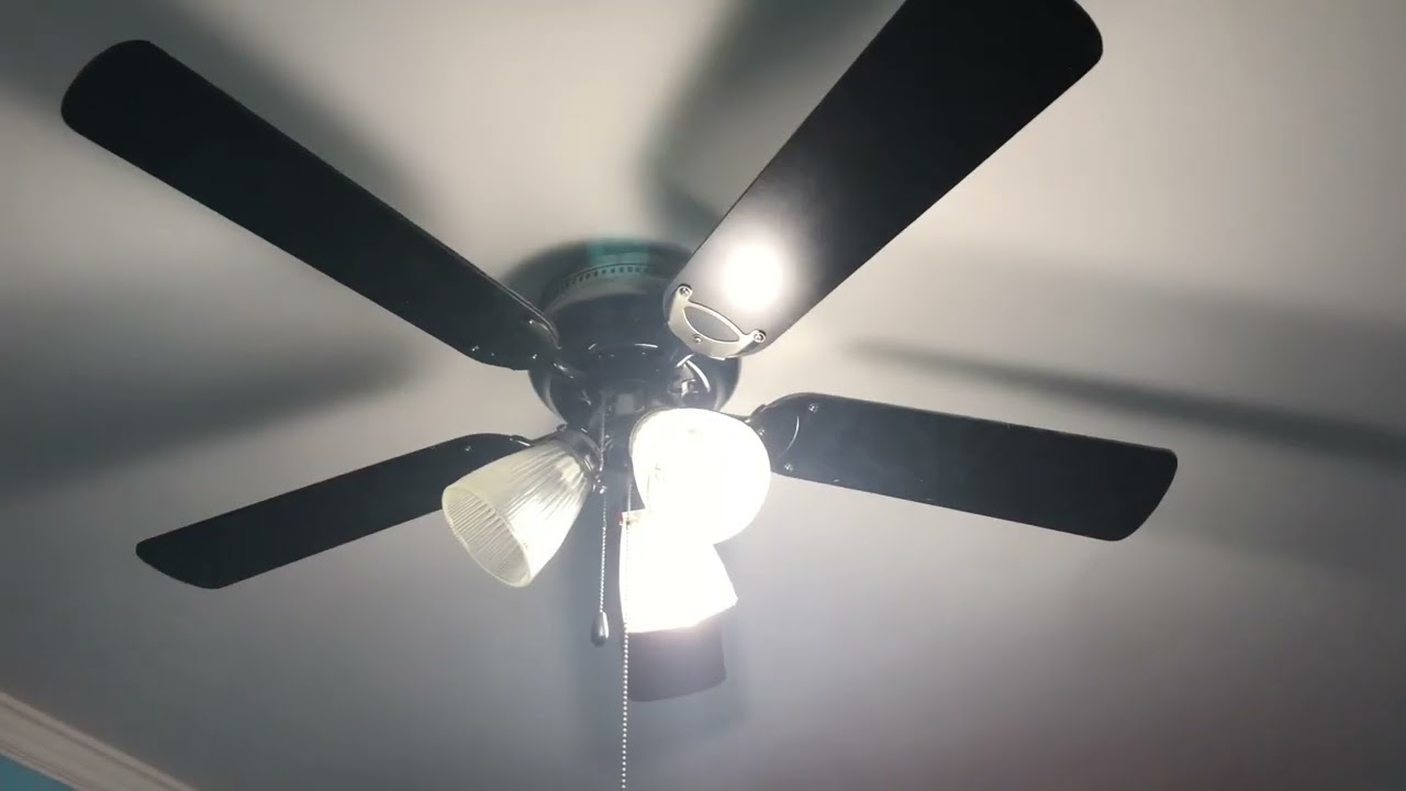 NCFD National Ceiling Fan Day 2022 Special Part 1. My Ceiling Fans In