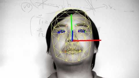 3D Face Pose and Animation Tracker