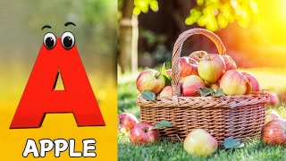 ABC Phonics Song | Learn ABC Alphabet for Children | Education ABC Nursery Rhymes