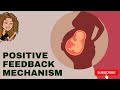 Positive feedback mechanism + normal childbirth