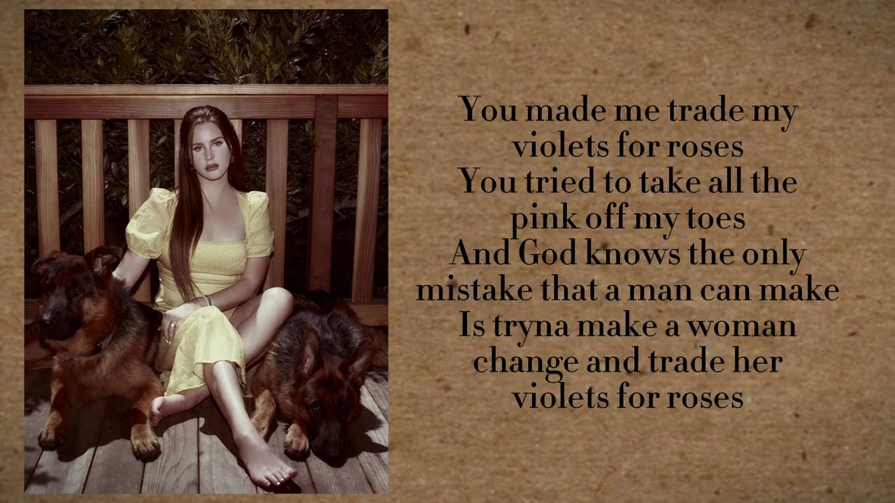 Lana Del Rey - Violets for Roses (Lyrics) 