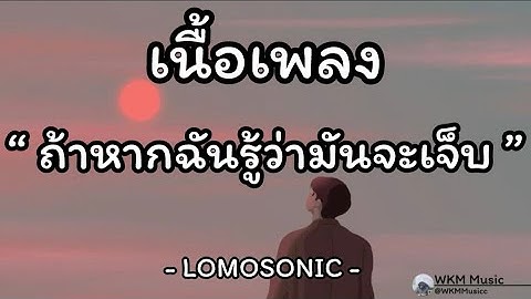 ถ้าหากฉันรู้ว่ามันจะเจ็บ (ALT. ENDING) -LOMOSONIC | เนื่อเพลง