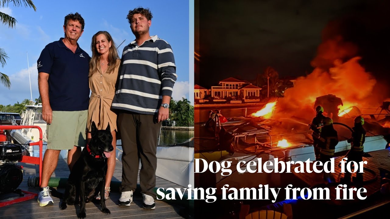 Dog celebrated for saving family from fire - YouTube
