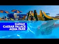 Hurgada Hawaii Caesar Palace Aqua Park / GoPro11