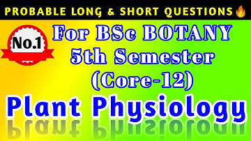 Belangrijkste LANGE & KORTE VRAGEN 🔥||BOTANIEK 5E SEMESTER||CORE-12: Plantenfysiologie||Een must ...